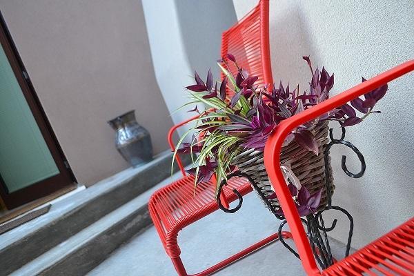 La Salvia E Il Lampone Bed & Breakfast Pove del Grappa ภายนอก รูปภาพ