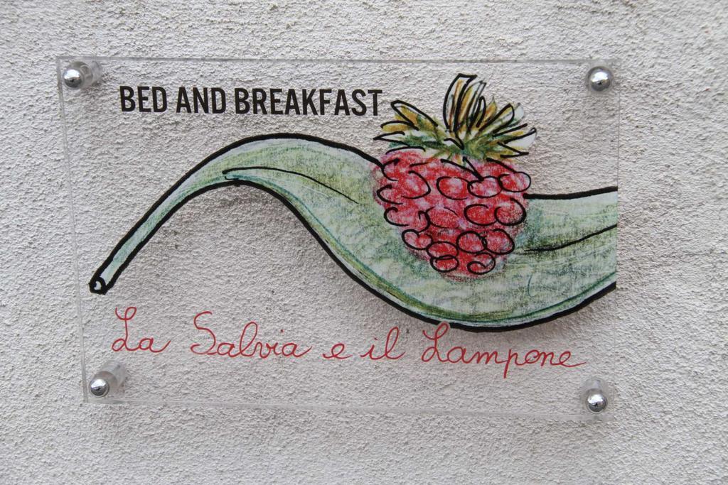La Salvia E Il Lampone Bed & Breakfast Pove del Grappa ภายนอก รูปภาพ